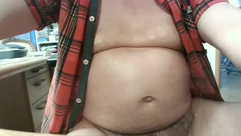 Circus Bear online show from January 11, 2:47 pm