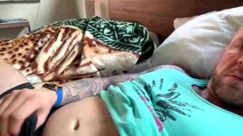 clintonious online show from November 2, 8:20 pm