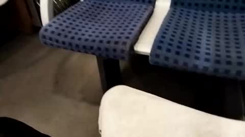 Cocolino  online show from October 17, 6:01 pm