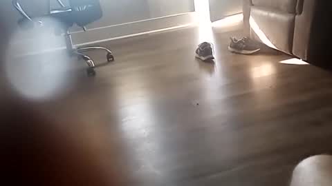 cockgod308236 online show from October 21, 1:59 pm