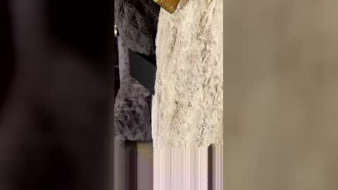 comeongirlts online show from April 27, 4:21 am