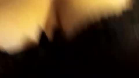 conchettap online show from November 29, 4:42 am