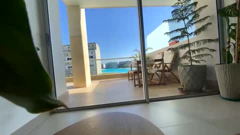 Conejitos online show from March 22, 8:35 pm