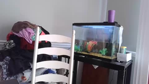 Fallen Angel 21 online show from March 4, 5:56 pm