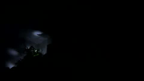 cronski_longcock online show from March 5, 10:46 am