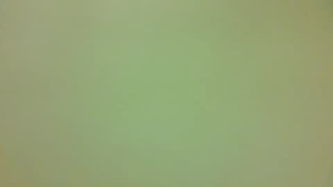 ctbddc online show from December 7, 5:04 pm