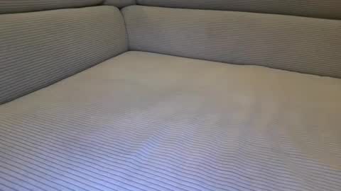 cuckold_2006 online show from April 6, 10:11 pm