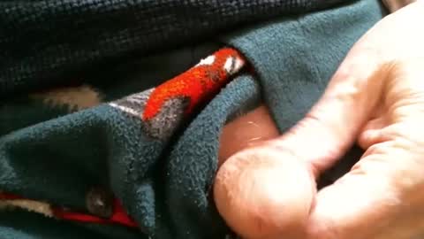 BI SMOOTH MATURE  SUB online show from January 29, 2:10 pm