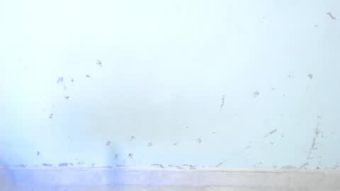 Snapshot of dakkotta_curvy chatting on October 16, 9:09 am VALENTINA  online show from October 16, 9:09 am