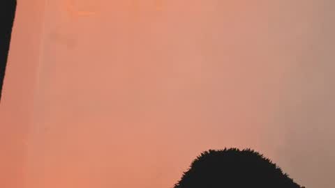 daniela_rivasthl online show from March 18, 4:51 am