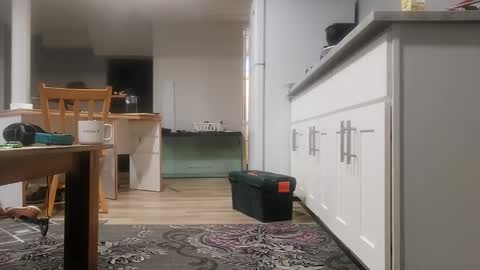 danimal5000 online show from November 18, 3:59 pm