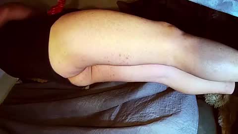 dandeb online show from November 29, 10:23 am