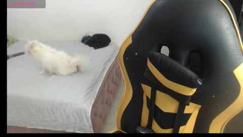 danny..........  guys I have onlyfans follow me I am new I want to share with you many things I love you online show from February 24, 6:00 pm