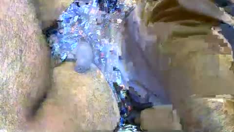 dark_dik online show from January 18, 6:39 pm