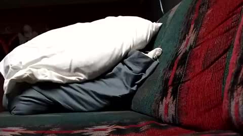 darklotus712 online show from February 2, 6:59 pm