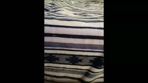 dat_guy8806 online show from January 5, 11:52 pm