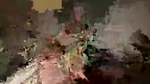 davedavedave591263 online show from May 26, 2:06 am