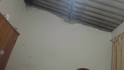 Dylon online show from November 7, 9:34 am