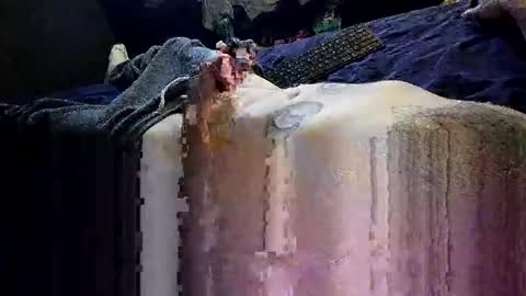 decoyx5o5 online show from January 1, 2:09 pm