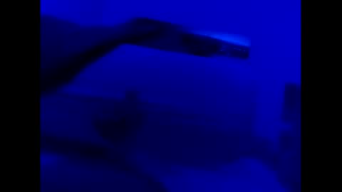 deezzee_5280 online show from February 26, 9:12 am