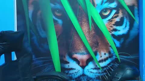 DEIBY online show from February 12, 1:53 am