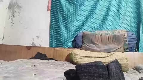 desi_boy799417 online show from March 8, 7:16 am