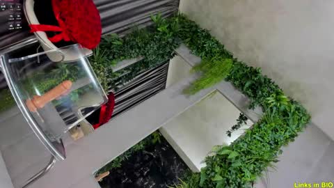 Jo online show from February 8, 3:08 am