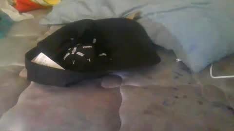 diamondeye112 online show from December 23, 5:13 am