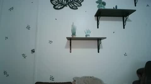 Snapshot of dickslayerdan chatting on January 25, 8:21 pm dickslayerdan online show from January 25, 8:21 pm