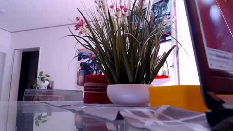 squirtcock online show from August 6, 8:12 am