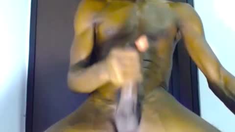 dino1107 online show from November 28, 2:08 am