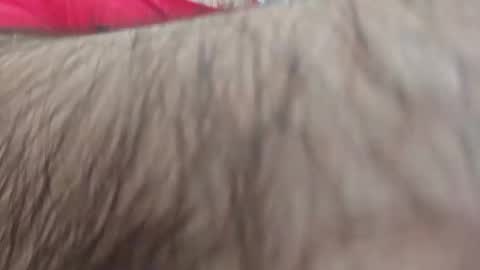 dios891 online show from April 25, 1:02 pm