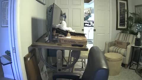 DirtkPitt Fun guy working online show from January 21, 7:17 pm