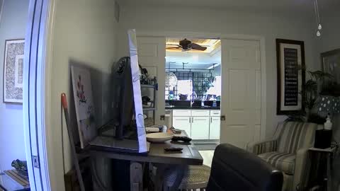 DirtkPitt Fun guy working online show from January 3, 4:37 pm