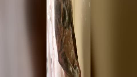 discreetdaddy333 online show from June 20, 11:49 am