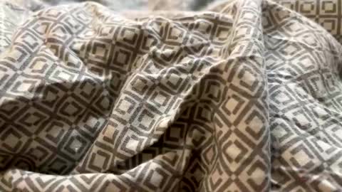 distracted71 online show from March 27, 11:22 am