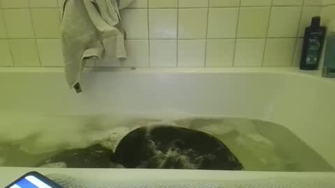 djensenhc online show from March 5, 7:56 pm