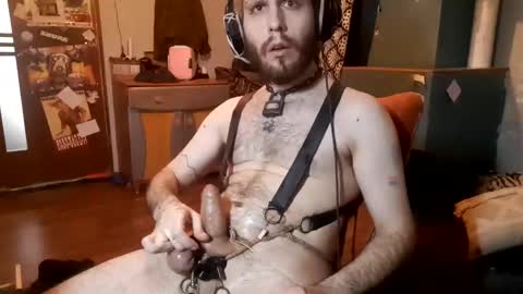 dogwithamohawk online show from February 7, 2:37 pm