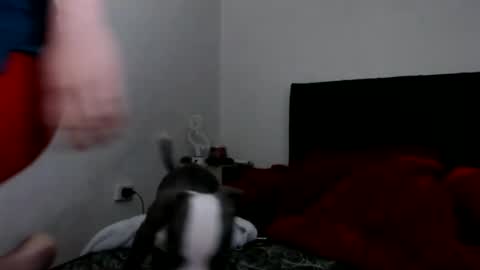 Catherine XXX online show from February 8, 9:03 am