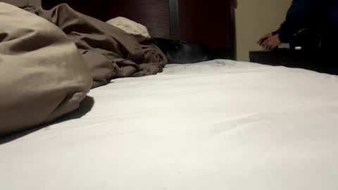 Ben Dover online show from January 17, 9:17 am