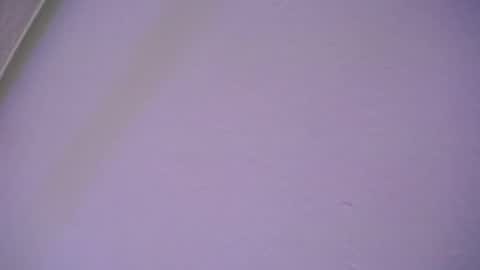 dominic_sofia online show from January 15, 12:19 am