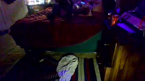 Driver Dick  Kylie Tits online show from February 9, 5:00 am