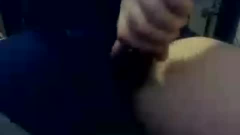 drdick8inch online show from June 17, 2:27 am