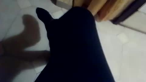 dthedog12 online show from March 2, 2:35 pm