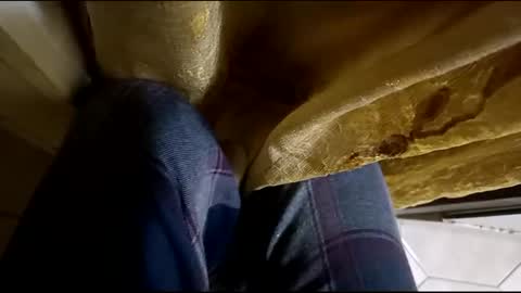 dthedog12 online show from March 12, 2:09 am