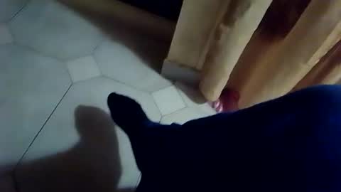 dthedog12 online show from January 13, 12:40 am