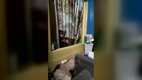 dugawuga online show from March 31, 10:32 pm