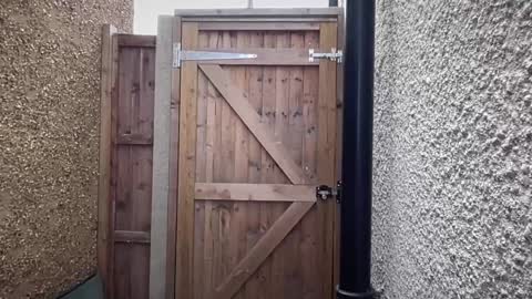 Nadia Ferreira  online show from November 12, 12:18 pm