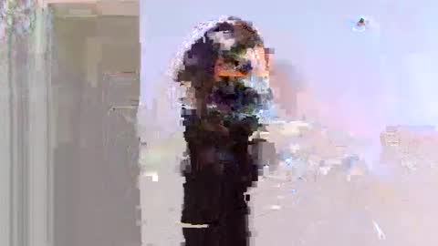 ebony online show from March 13, 10:51 am