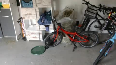 edelholz87 online show from July 16, 6:44 pm